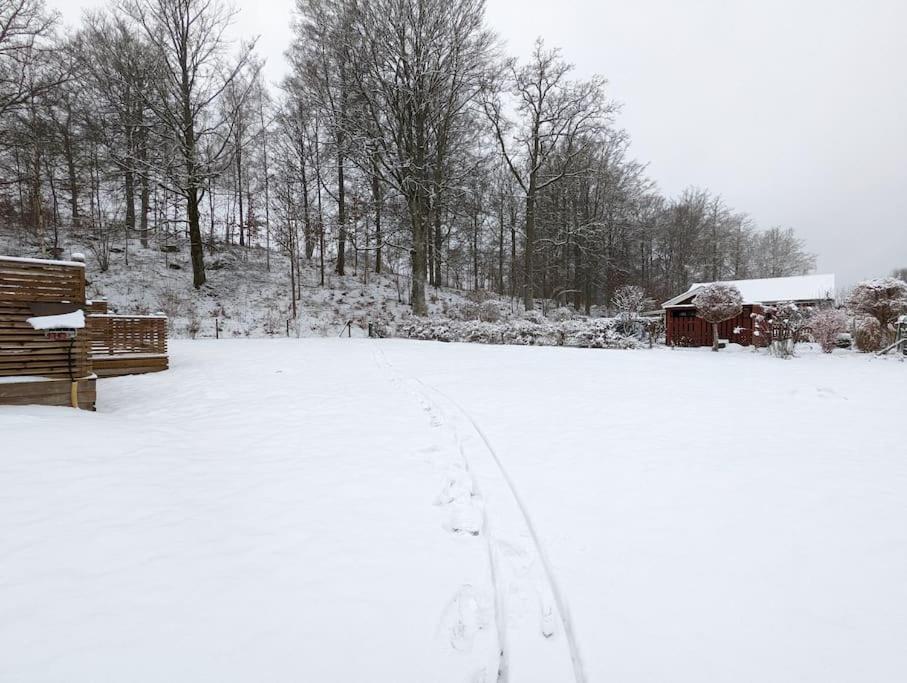 Beautiful And Cosy House Near The Lake Olofstrom Bagian luar foto