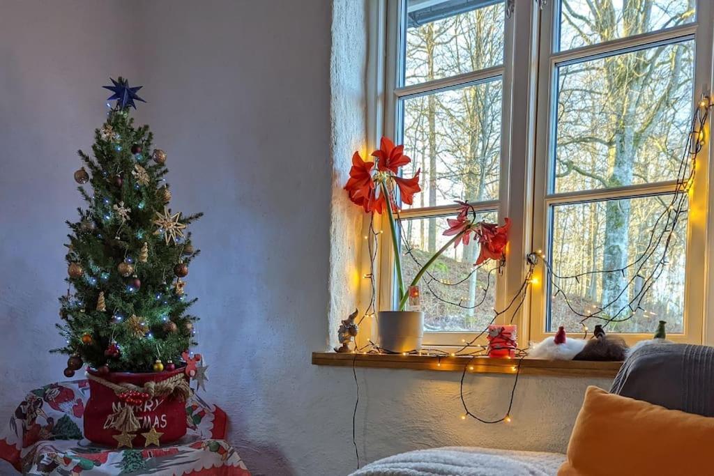 Beautiful And Cosy House Near The Lake Olofstrom Bagian luar foto