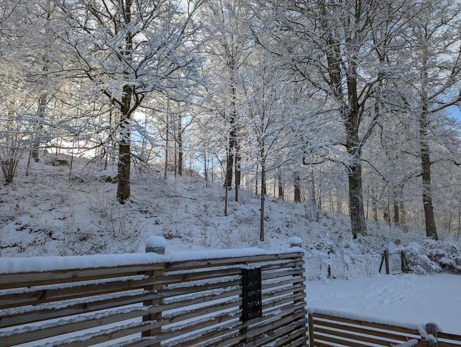 Beautiful And Cosy House Near The Lake Olofstrom Bagian luar foto